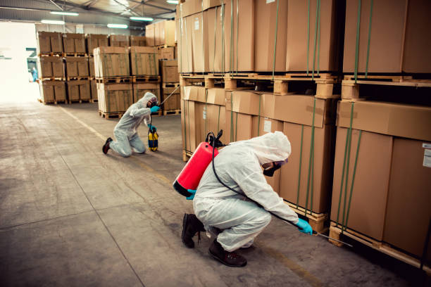 Professional Pest Control in Cherry Hills Village, CO