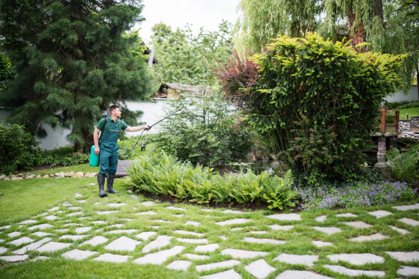 Wasp Removal Services in Cherry Hills Village, CO