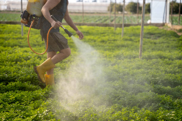 Best Local Pest Control Services  in Cherry Hills Village, CO